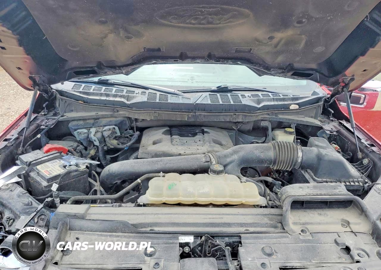 2022 Ford F150 Supercrew VIN:1FTFW1E84NFA69453 - 11