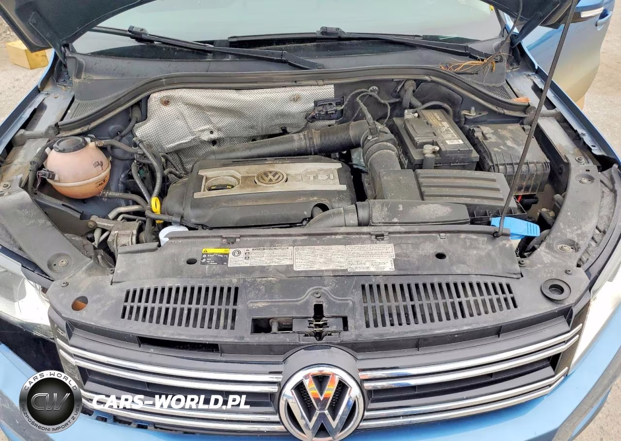 2017 Volkswagen Tiguan S VIN:WVGBV7AX1HK045958 - 11