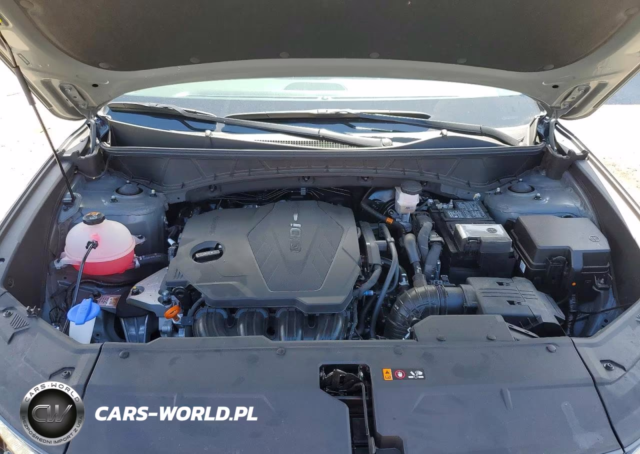 2024 Hyundai Tucson Sel VIN:5NMJF3DE2RH393071 - 12