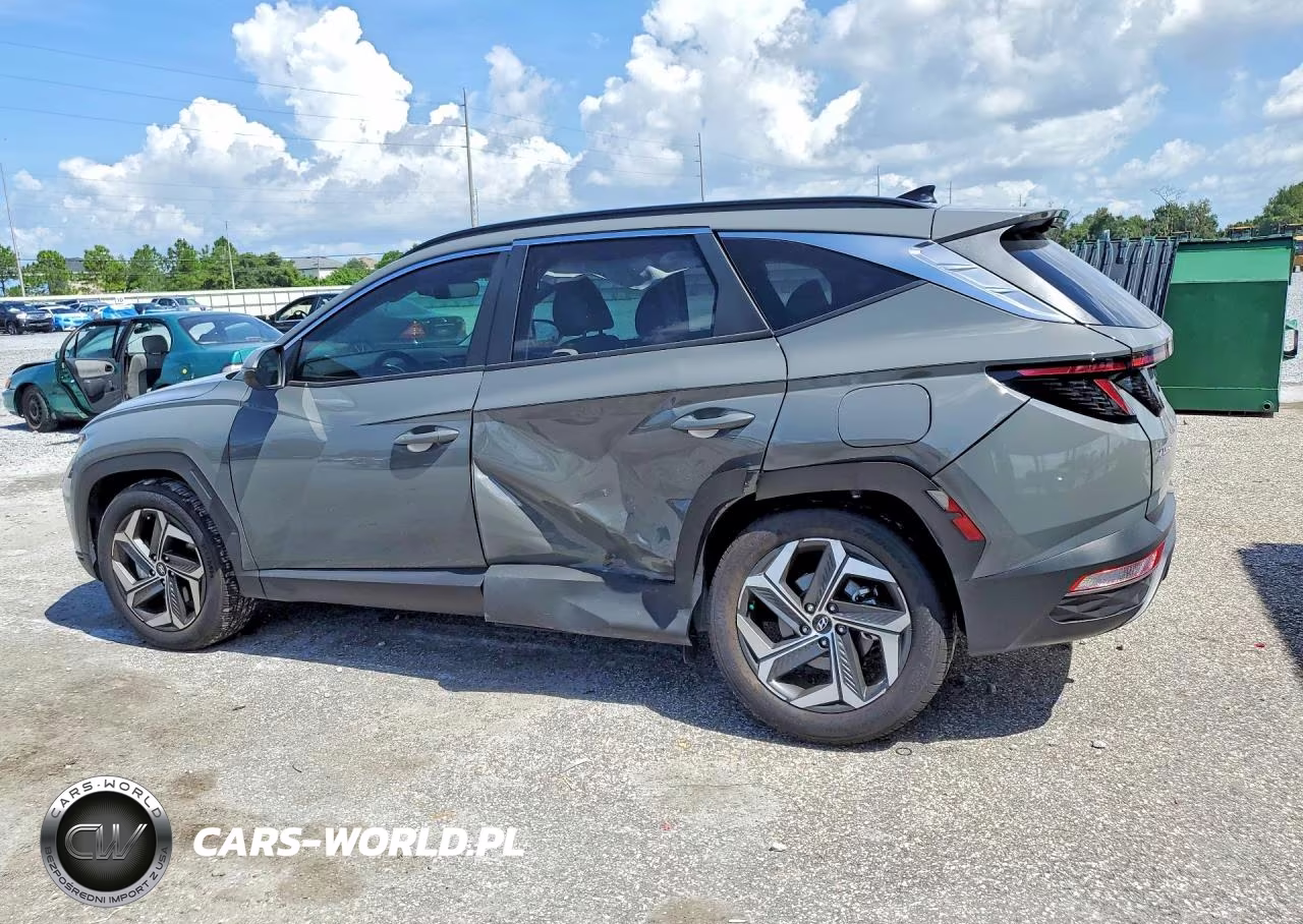 2024 Hyundai Tucson Sel VIN:5NMJF3DE2RH393071 - 2
