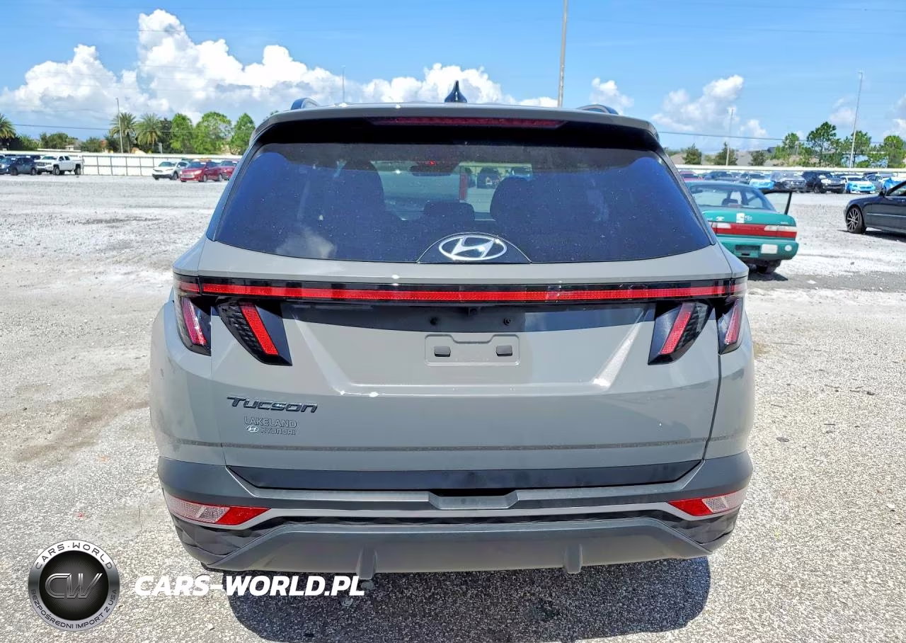 2024 Hyundai Tucson Sel VIN:5NMJF3DE2RH393071 - 6
