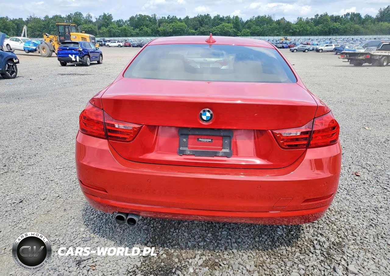 2014 BMW 428 Xi VIN:WBA3N5C59EF717064 - 6