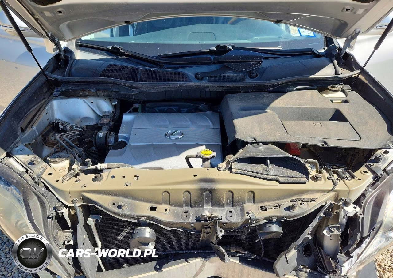 2010 Lexus Rx 350 VIN:2T2BK1BA2AC055471 - 12