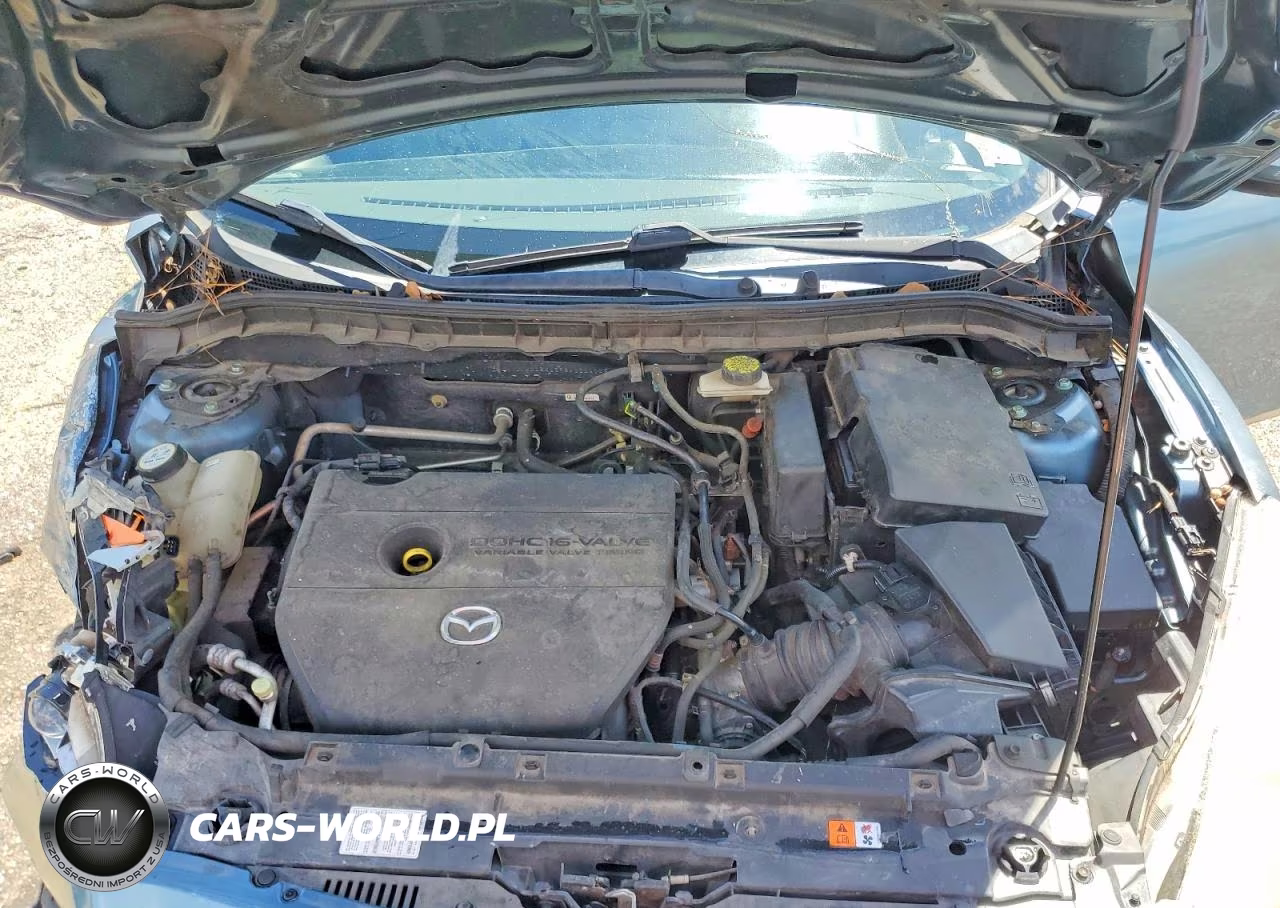 2010 Mazda 3 I VIN:JM1BL1SF8A1229142 - 11