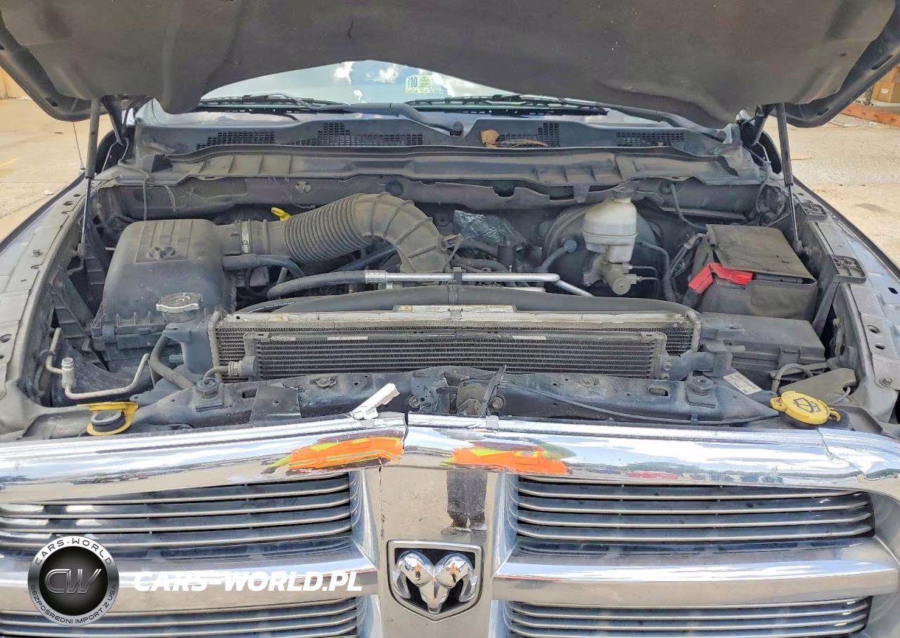 2011 Dodge Ram 1500 VIN:1D7RB1GT2BS696526 - 11