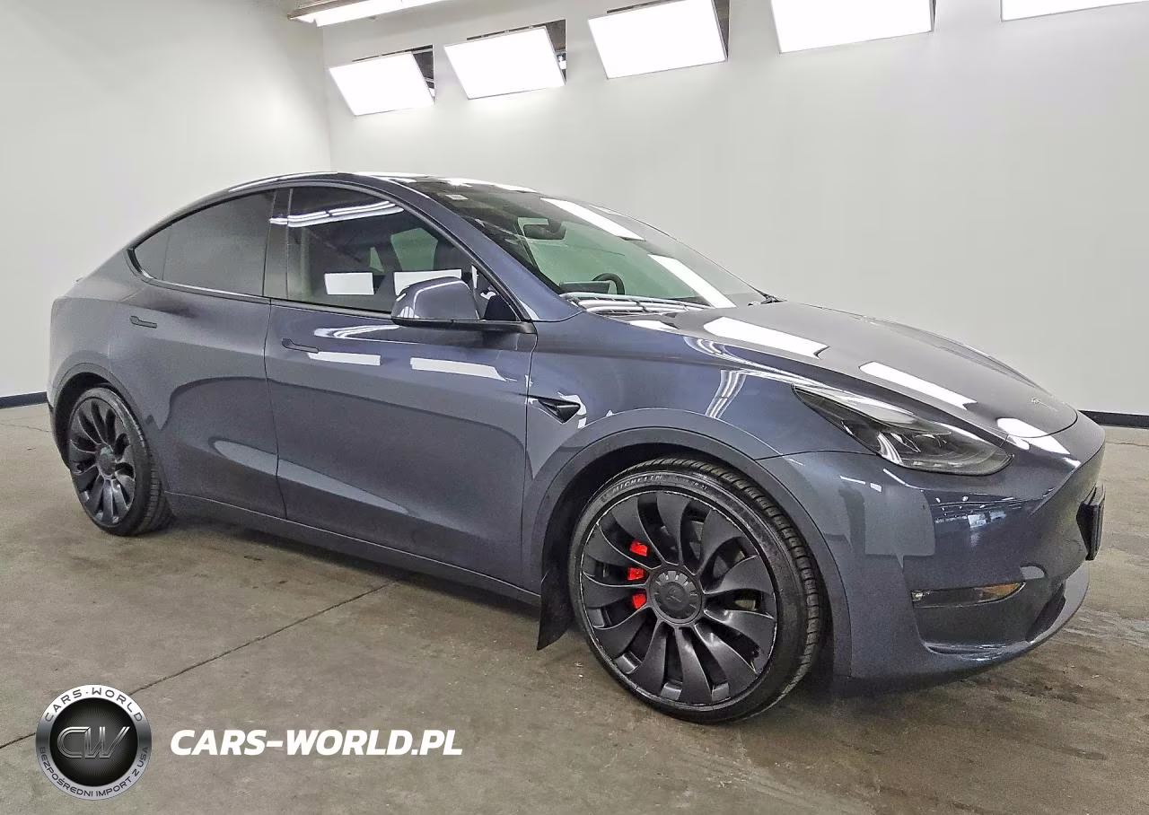 2023 Tesla Model Y VIN:7SAYGDEF1PF793939 - 4