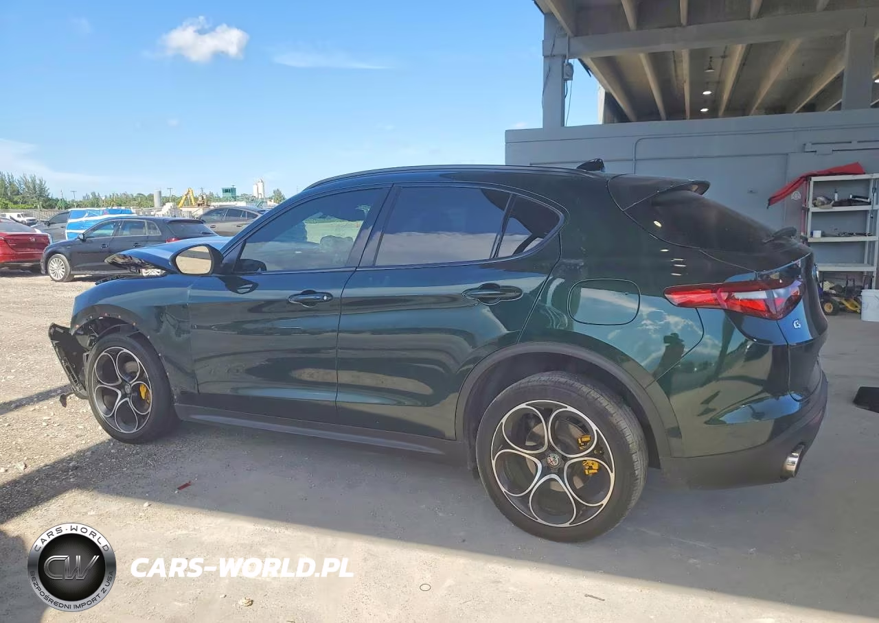 2019 Alfa Romeo Stelvio Ti VIN:ZASPAKBN7K7C50482 - 2