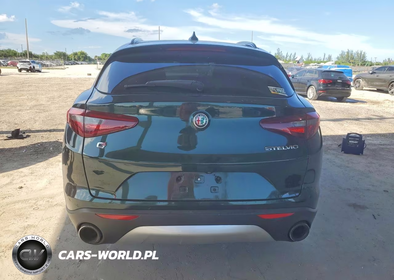 2019 Alfa Romeo Stelvio Ti VIN:ZASPAKBN7K7C50482 - 6