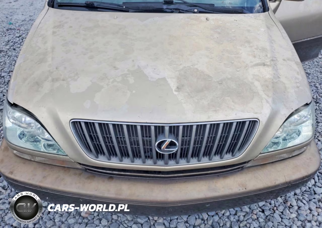 2000 Lexus Rx 300 VIN:JT6GF10U2Y0045773 - 12