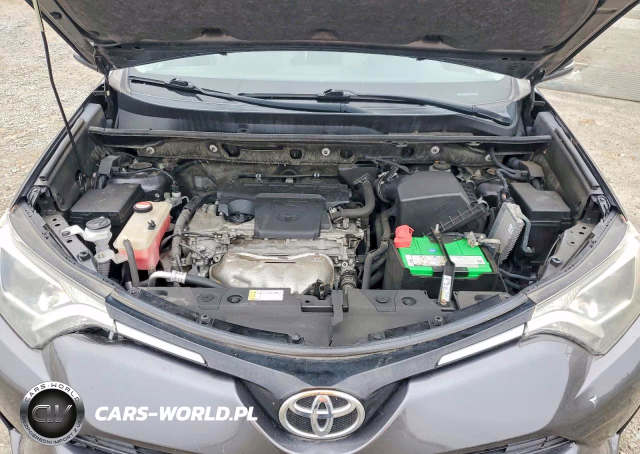 2016 Toyota Rav4 Xle VIN:JTMWFREV5GJ092924 - 12