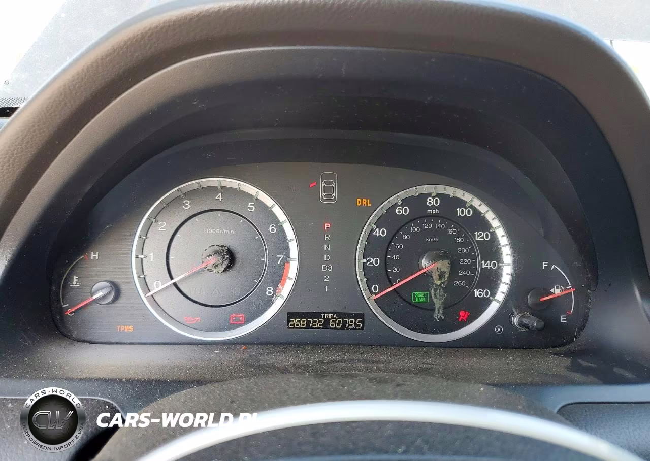 2010 Honda Accord Exl VIN:1HGCP2F81AA045009 - 9