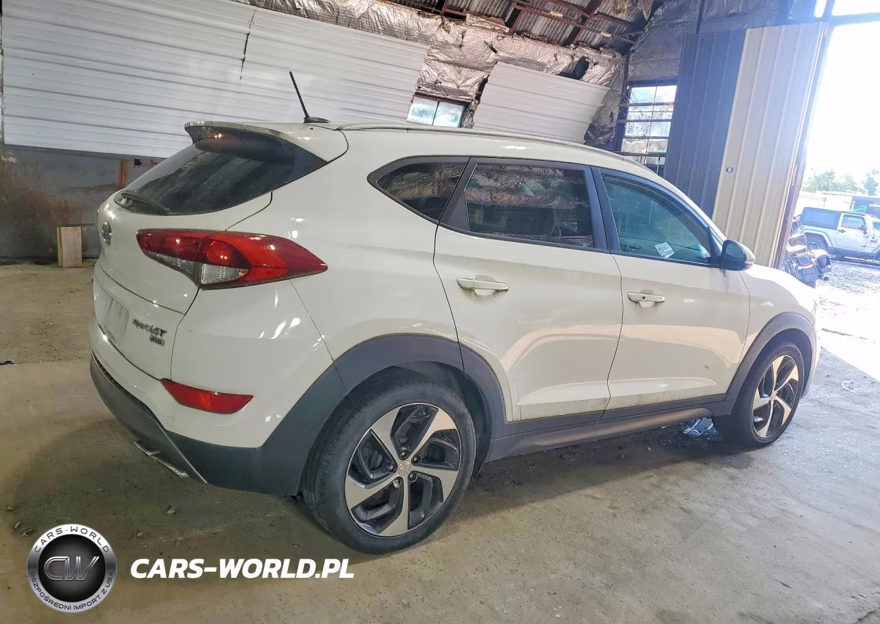 2016 Hyundai Tucson Sport VIN:KM8J3CA29GU093175 - 3