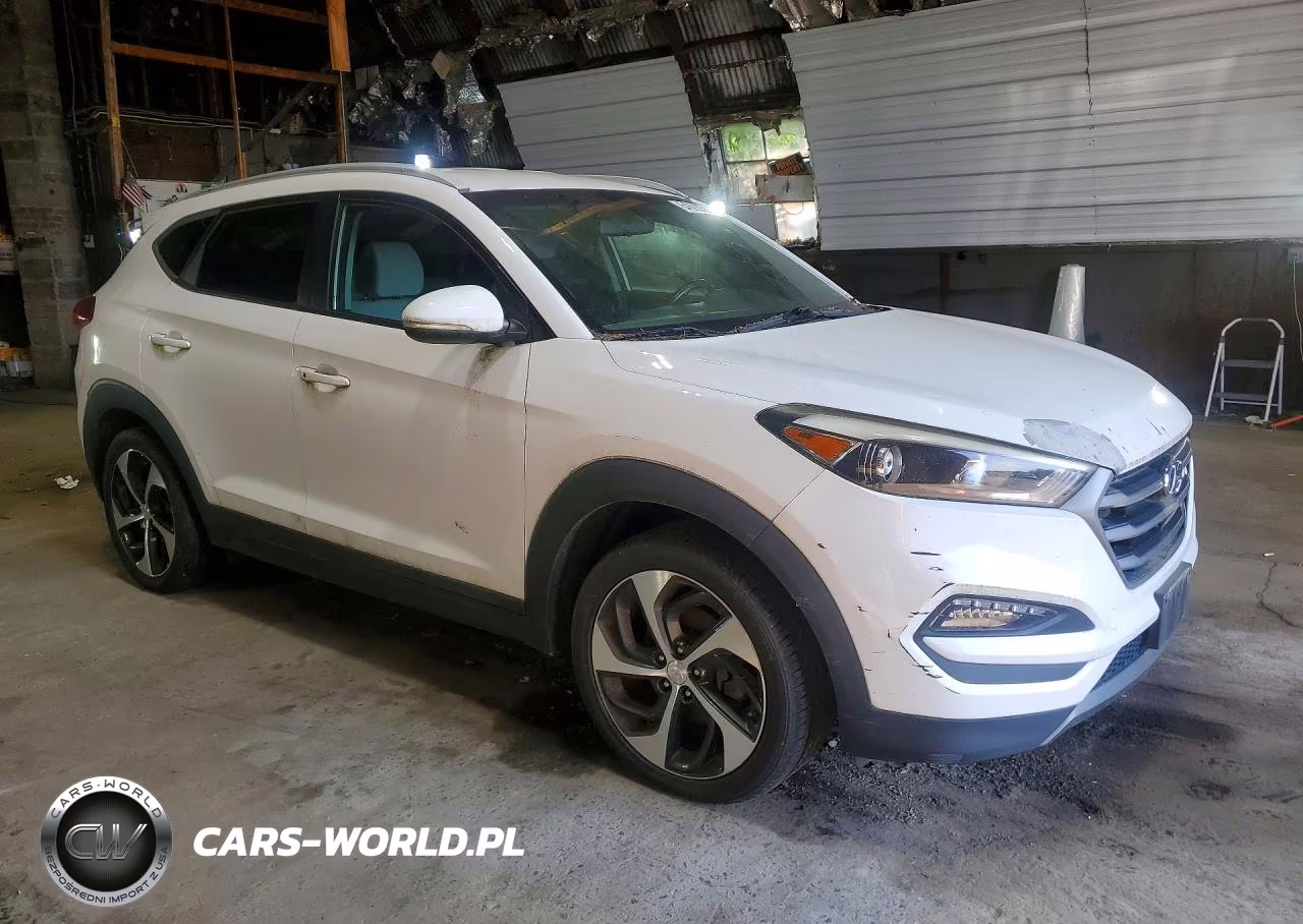 2016 Hyundai Tucson Sport VIN:KM8J3CA29GU093175 - 4