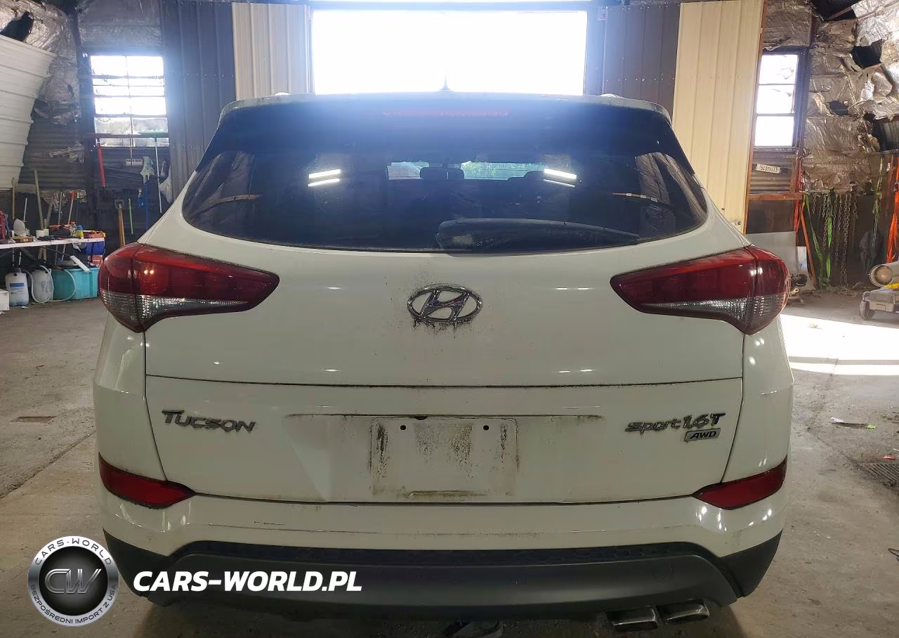 2016 Hyundai Tucson Sport VIN:KM8J3CA29GU093175 - 6