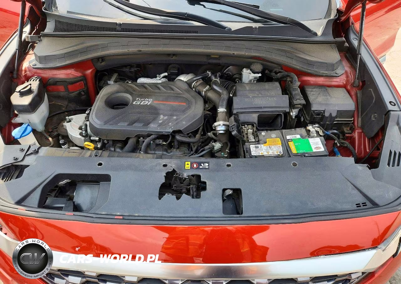 2020 Hyundai Santa Fe Sel 2.0T VIN:5NMS3CAA1LH270528 - 12