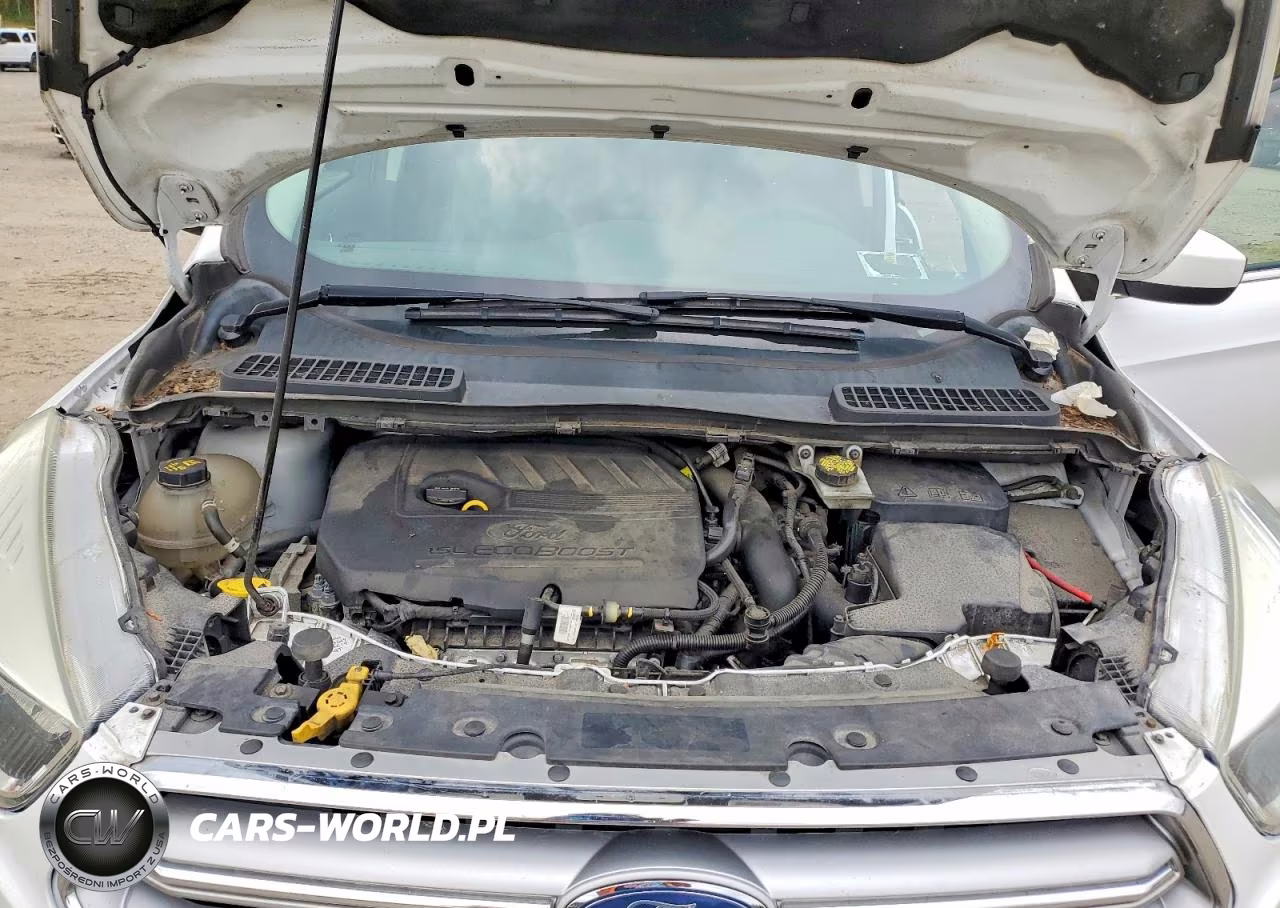 2017 Ford Escape VIN:1FMCU0GD0HUE77134 - 11