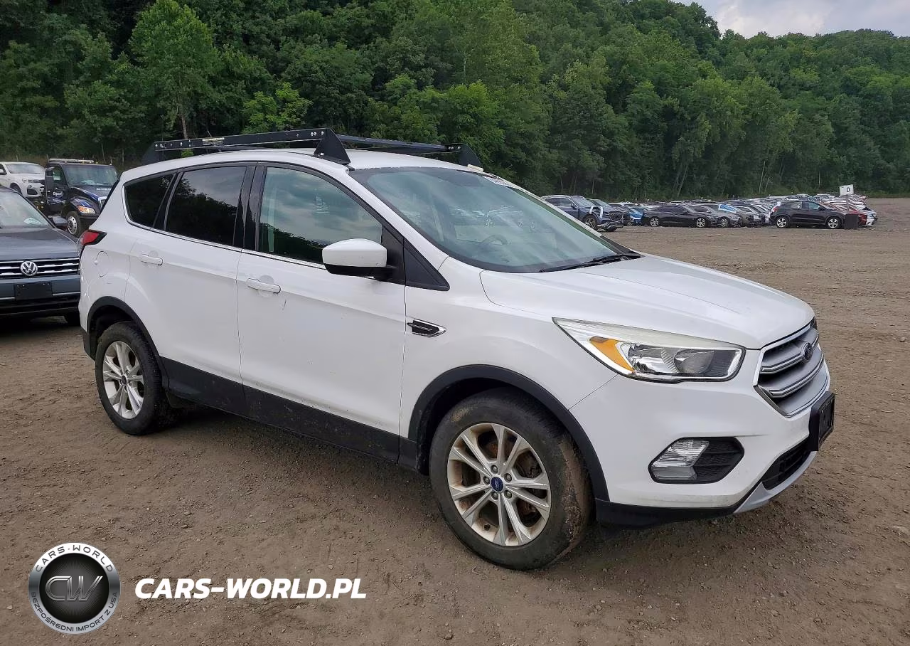 2017 Ford Escape VIN:1FMCU0GD0HUE77134 - 4
