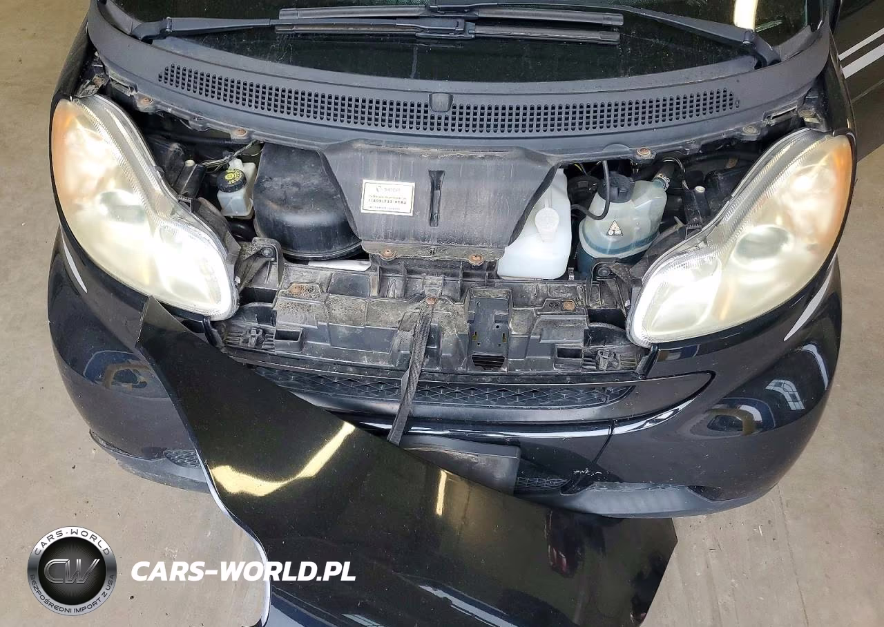 2010 Smart Fortwo Pure VIN:WMEEJ3BA0AK360046 - 11