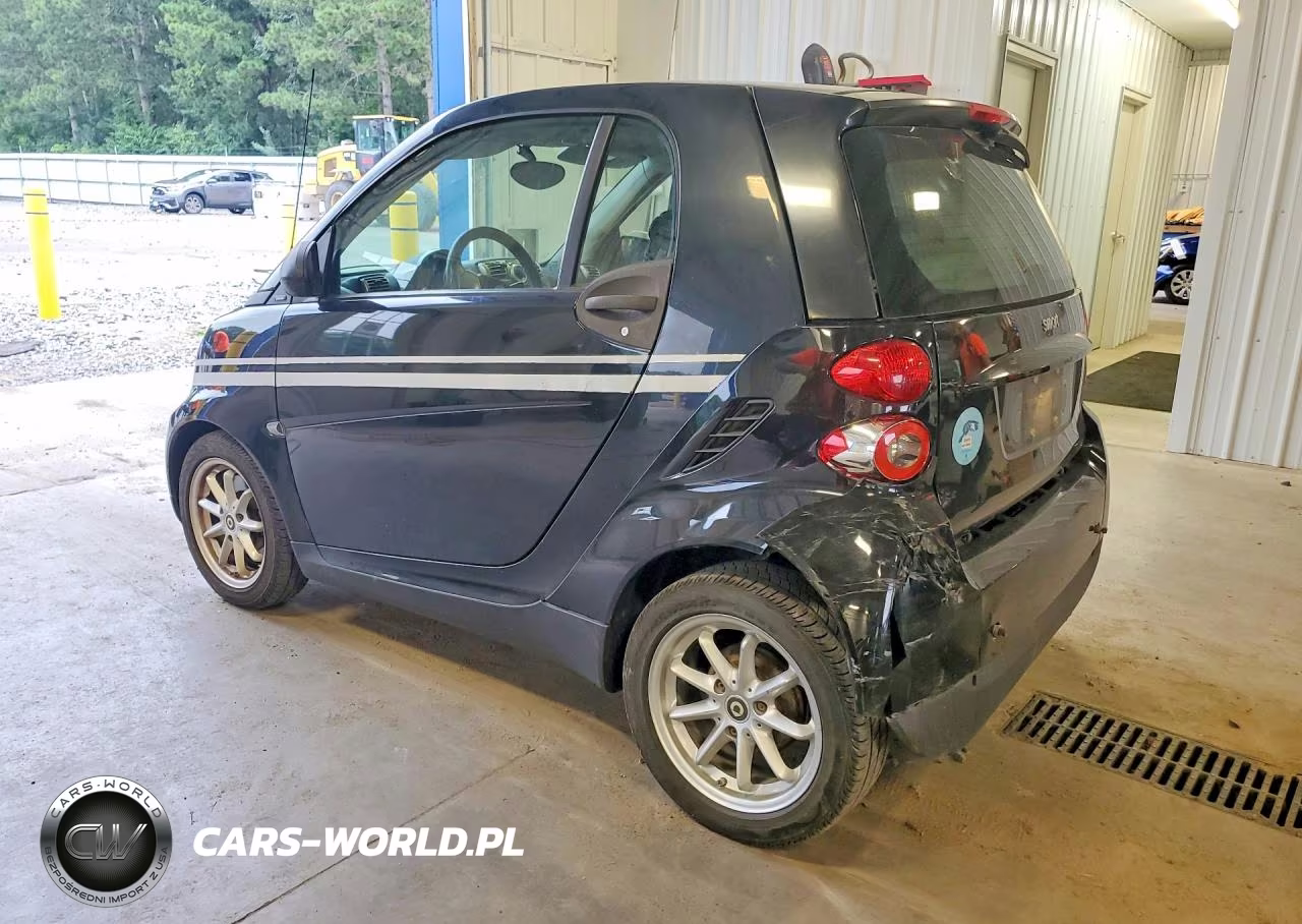 2010 Smart Fortwo Pure VIN:WMEEJ3BA0AK360046 - 2