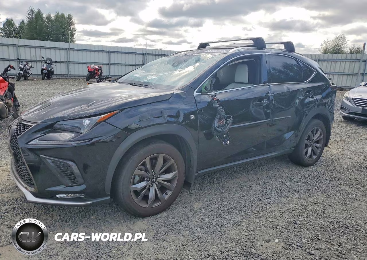 2020 Lexus Nx 300 F Sport