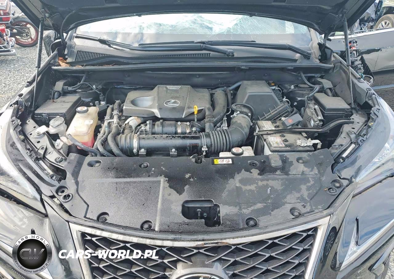 2020 Lexus Nx 300 F Sport VIN:JTJSARBZ9L5004249 - 12