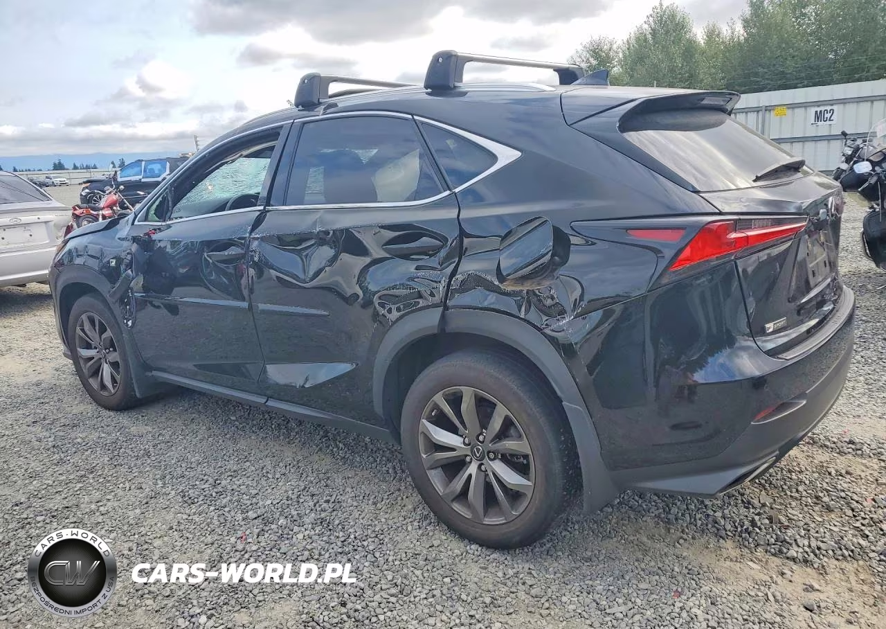 2020 Lexus Nx 300 F Sport VIN:JTJSARBZ9L5004249 - 2