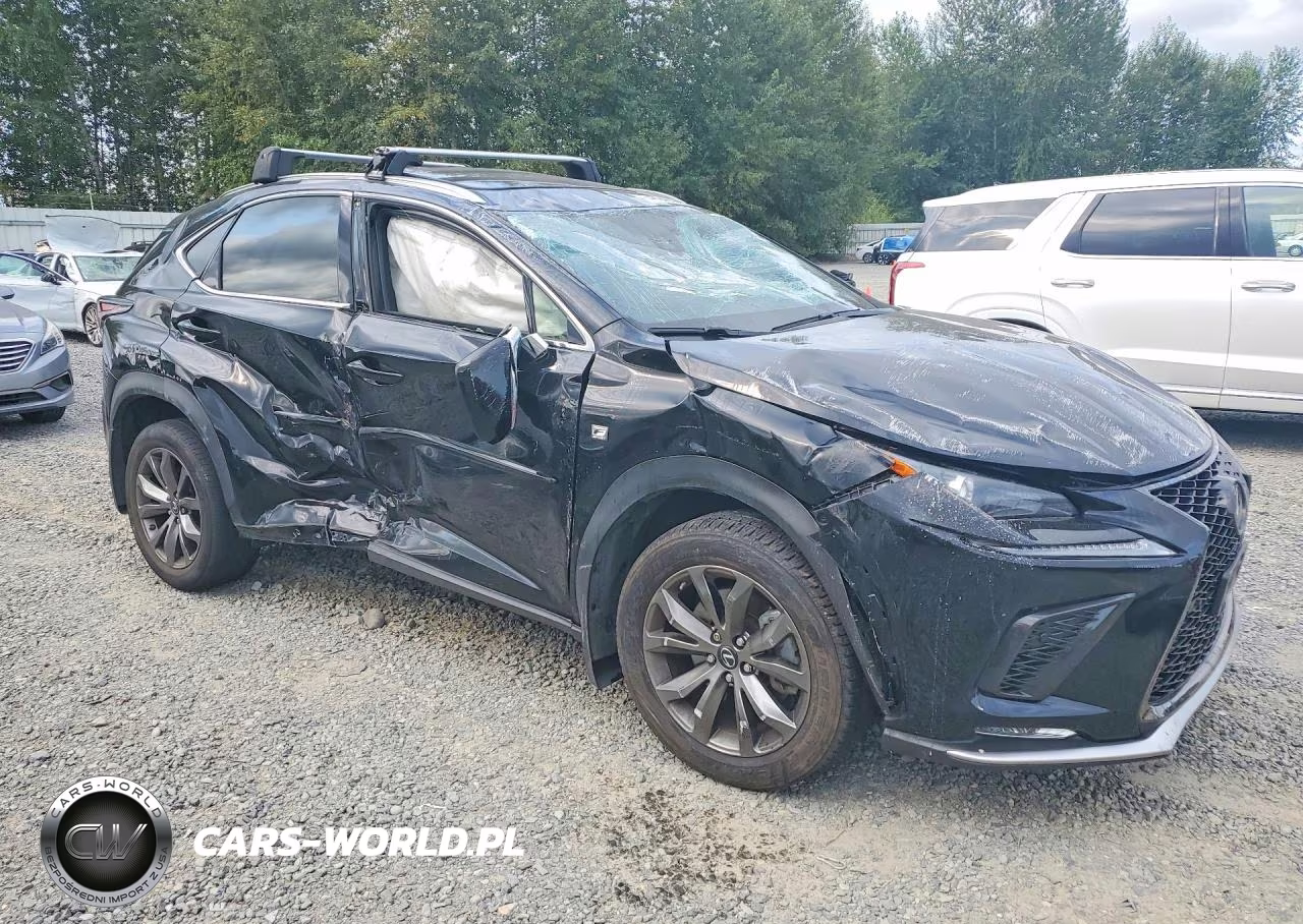 2020 Lexus Nx 300 F Sport VIN:JTJSARBZ9L5004249 - 4