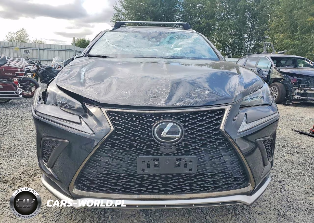 2020 Lexus Nx 300 F Sport VIN:JTJSARBZ9L5004249 - 5