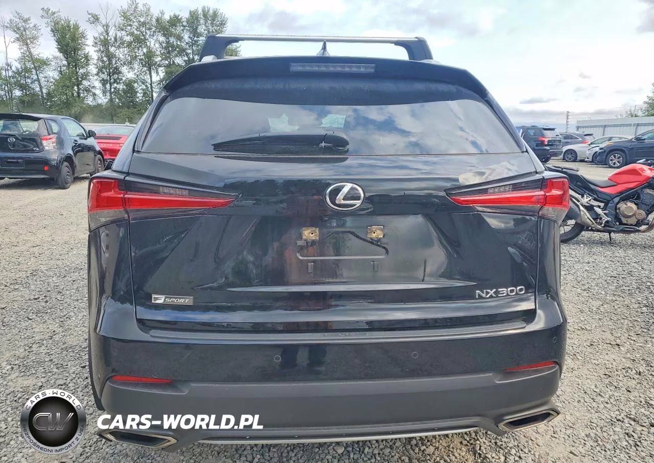 2020 Lexus Nx 300 F Sport VIN:JTJSARBZ9L5004249 - 6