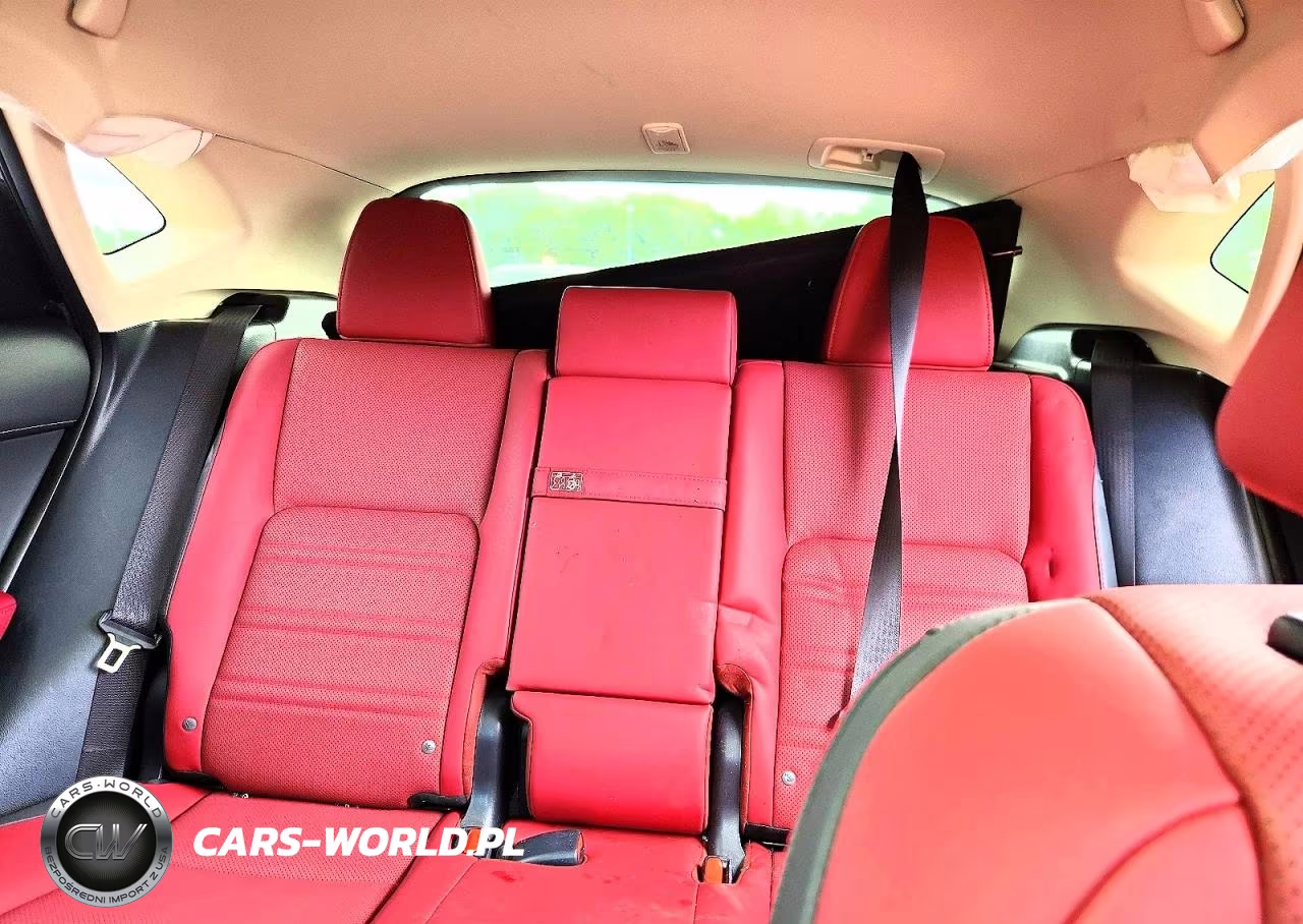 2020 Lexus Nx 300 VIN:JTJDARDZ0L2226590 - 10