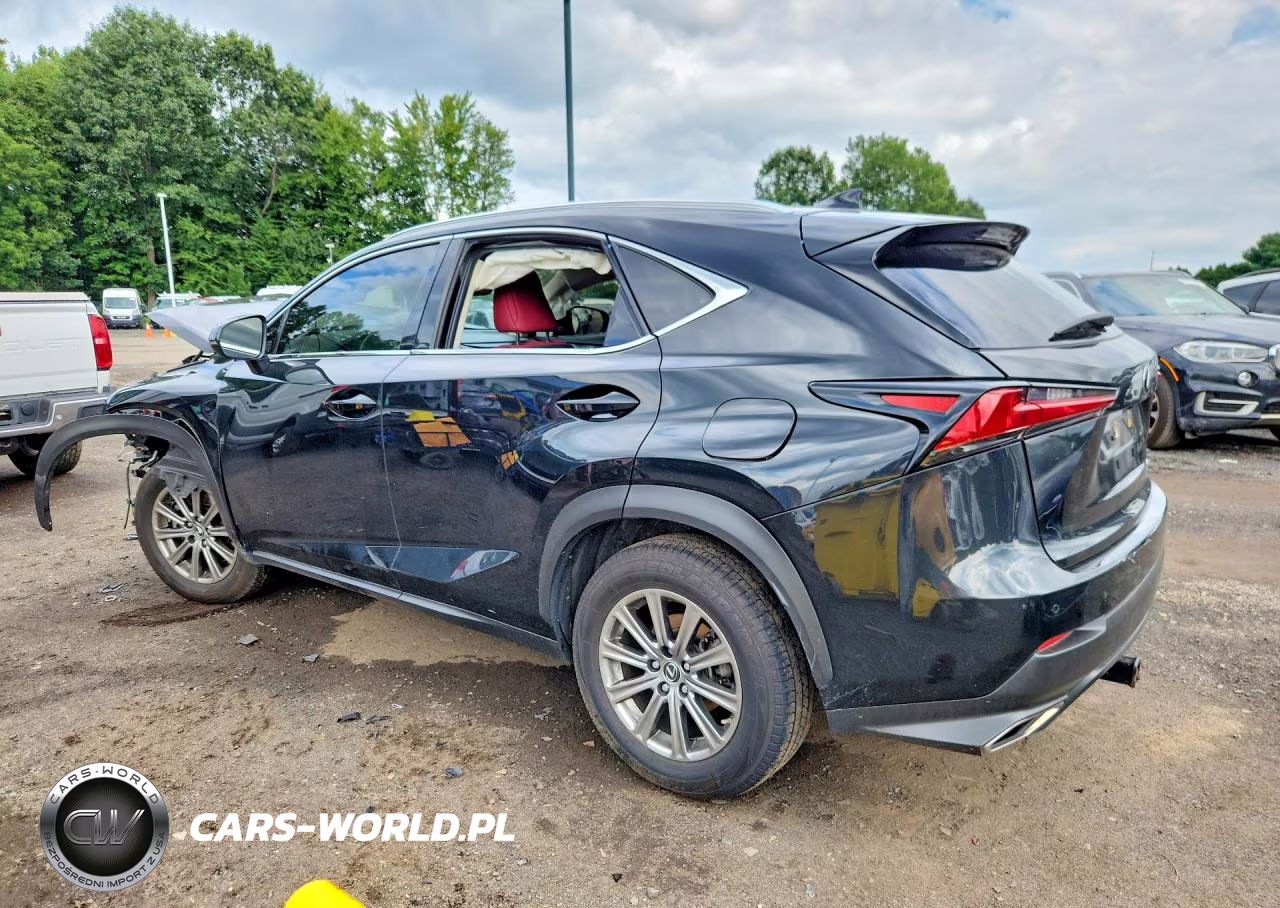 2020 Lexus Nx 300 VIN:JTJDARDZ0L2226590 - 2