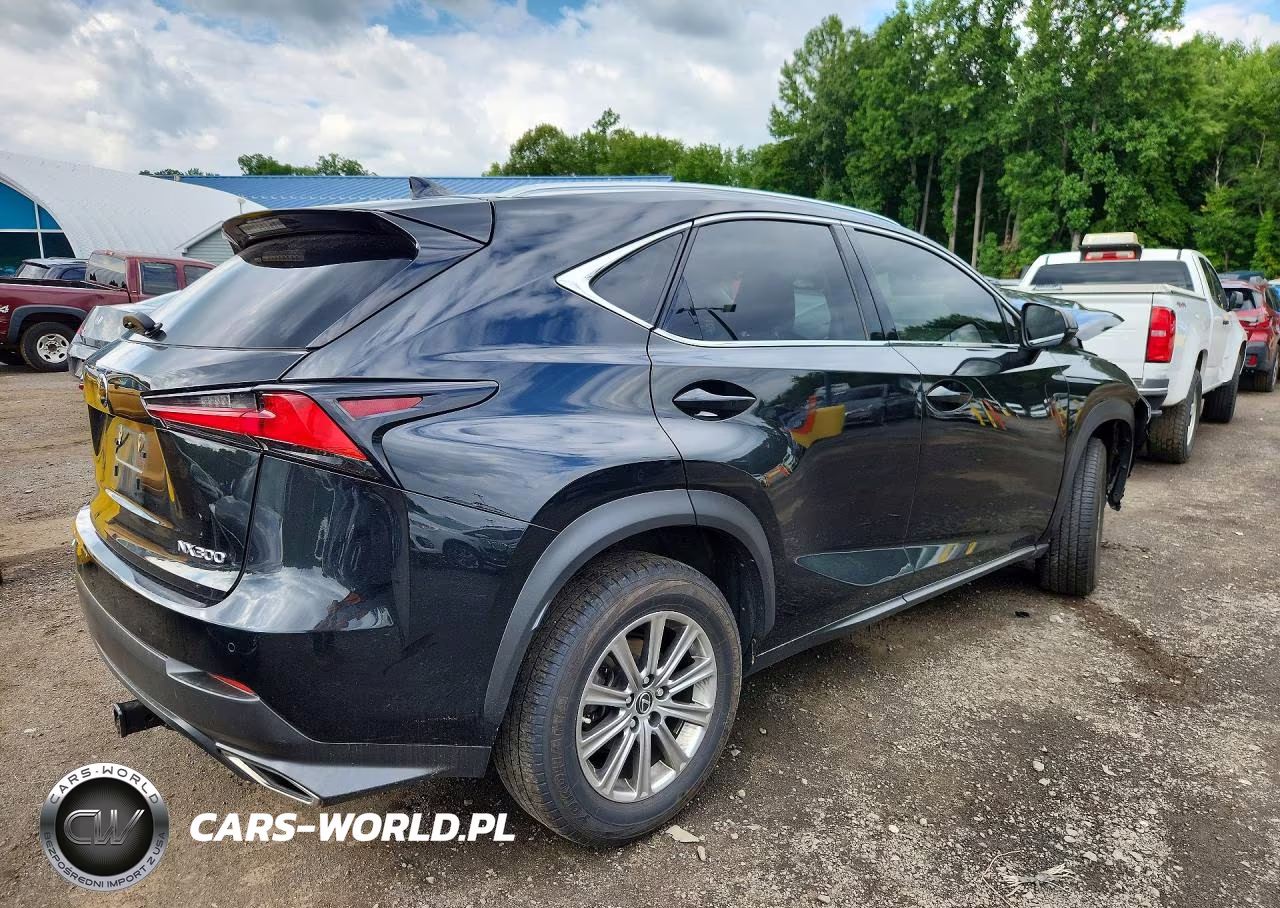 2020 Lexus Nx 300 VIN:JTJDARDZ0L2226590 - 3