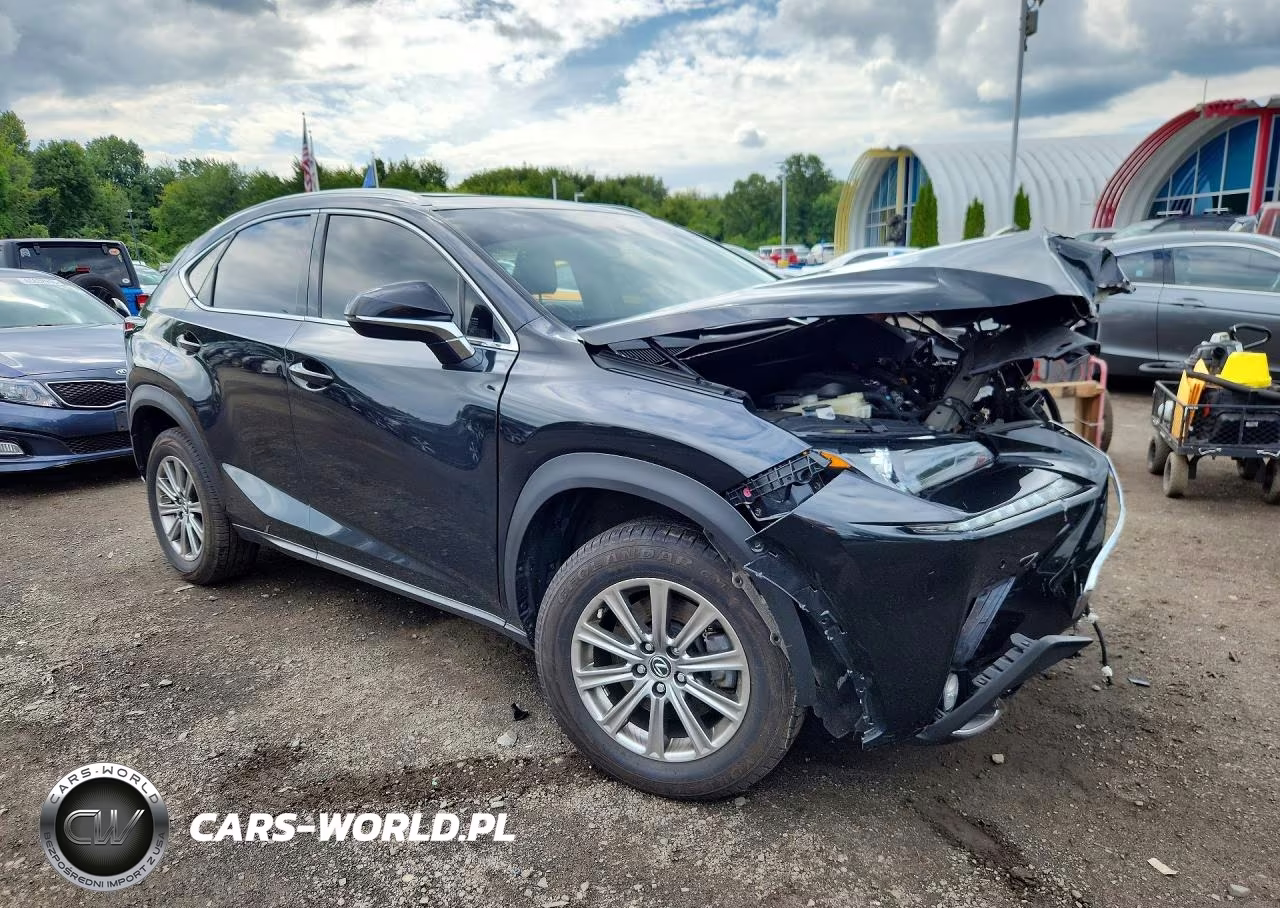 2020 Lexus Nx 300 VIN:JTJDARDZ0L2226590 - 4