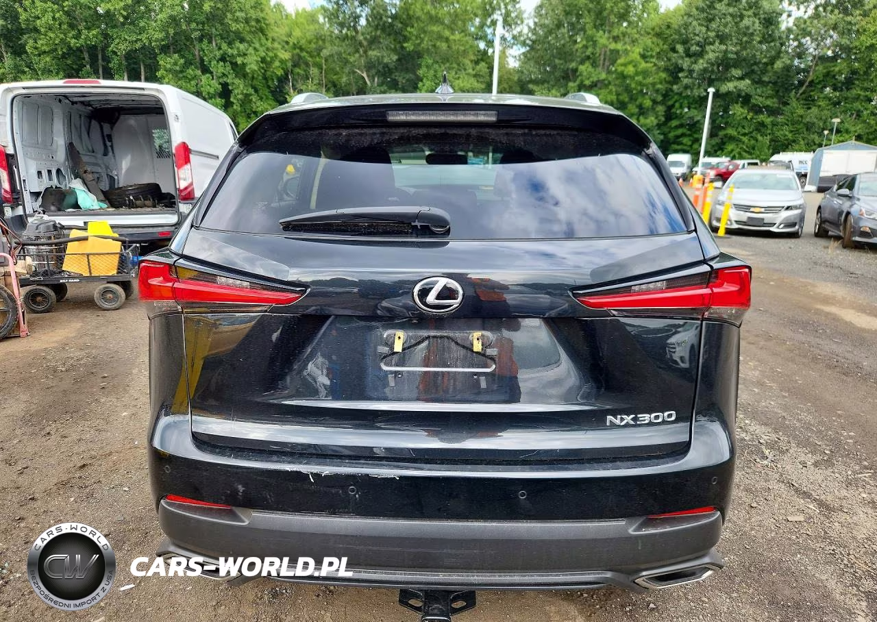 2020 Lexus Nx 300 VIN:JTJDARDZ0L2226590 - 6