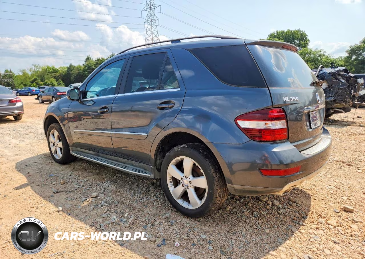 2010 Mercedes-Benz Ml 350 4Matic VIN:4JGBB8GB9AA599769 - 2