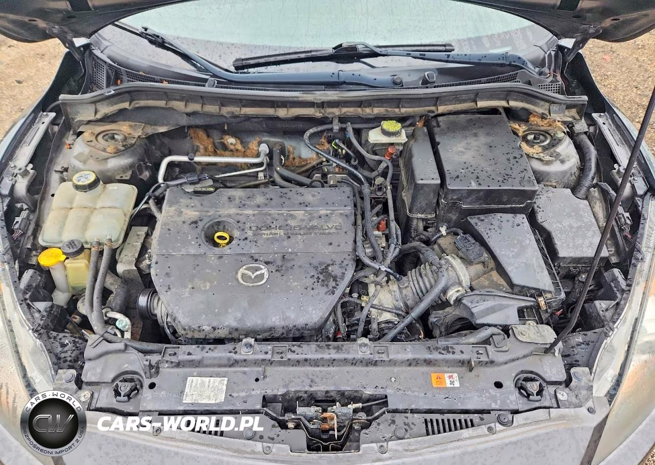 2010 Mazda 3 I VIN:JM1BL1SF9A1108104 - 11
