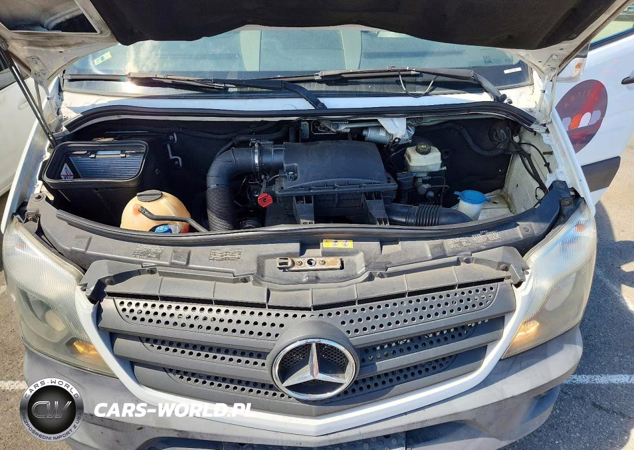 2016 Mercedes-Benz Sprinter 2500 VIN:WD3PE8DDXGP240759 - 12