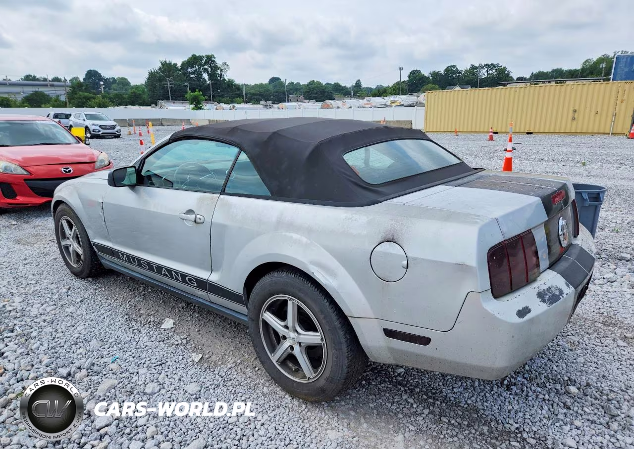 2005 Ford Mustang VIN:1ZVFT84N855191650 - 2