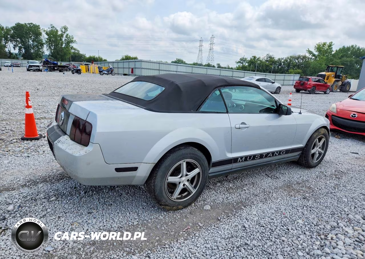 2005 Ford Mustang VIN:1ZVFT84N855191650 - 3