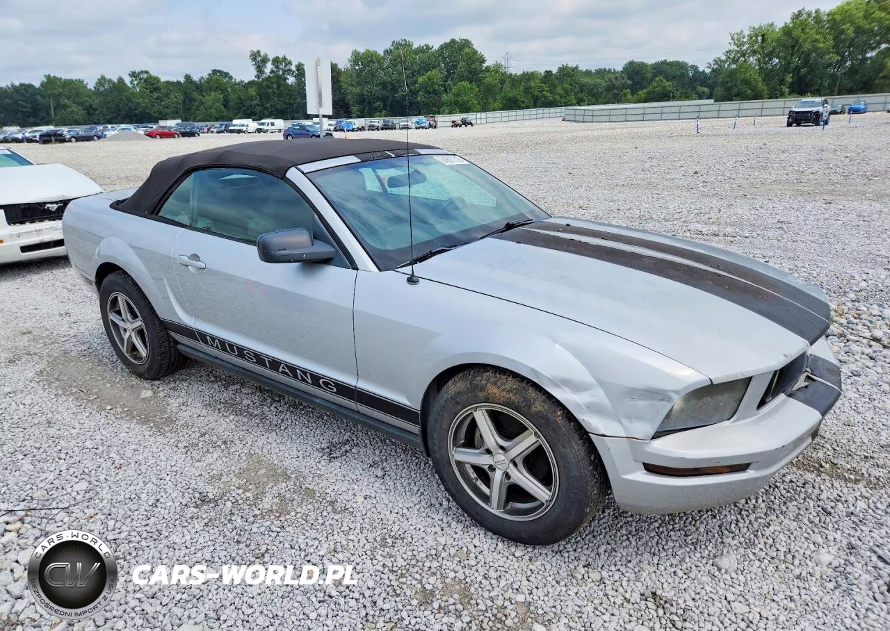 2005 Ford Mustang VIN:1ZVFT84N855191650 - 4