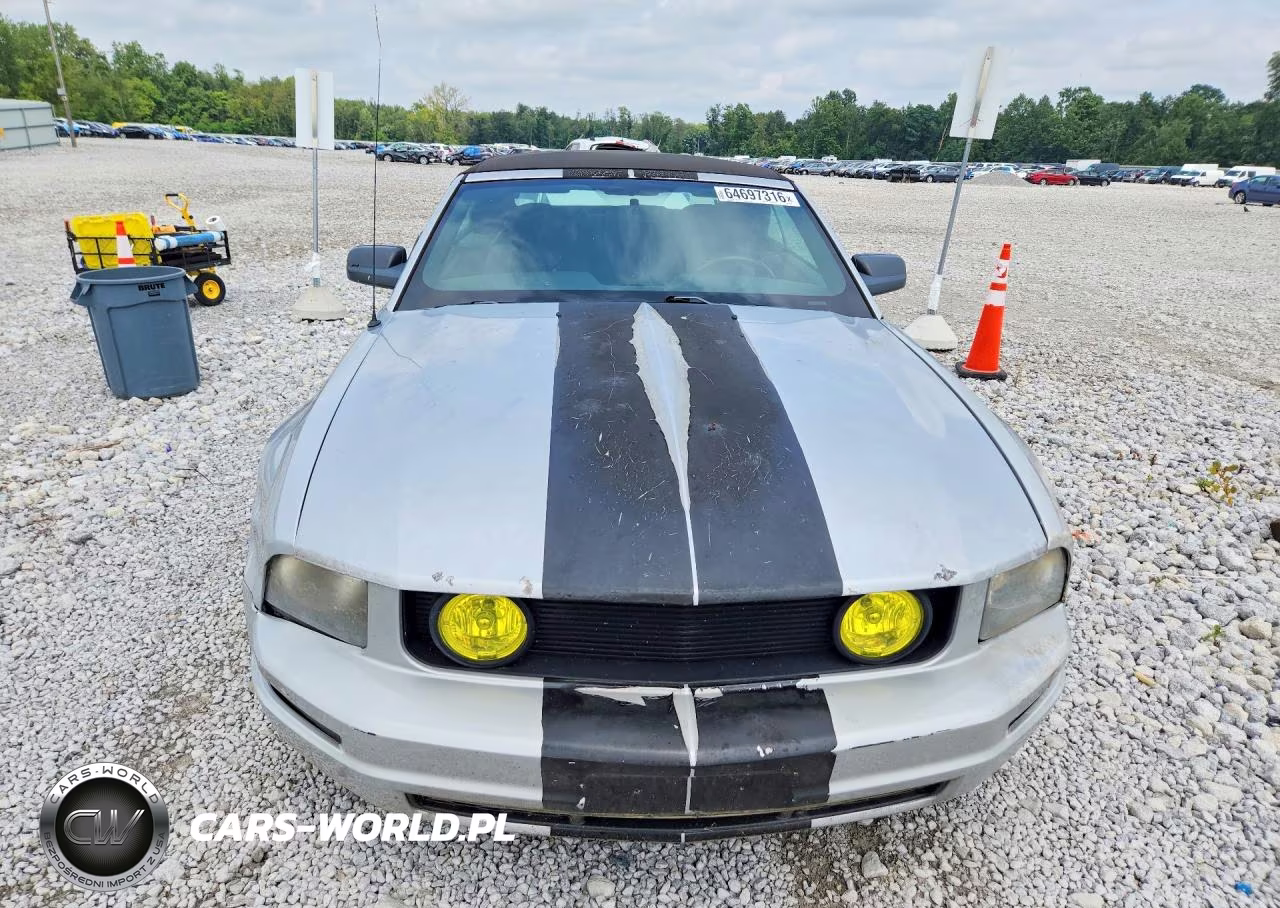 2005 Ford Mustang VIN:1ZVFT84N855191650 - 5