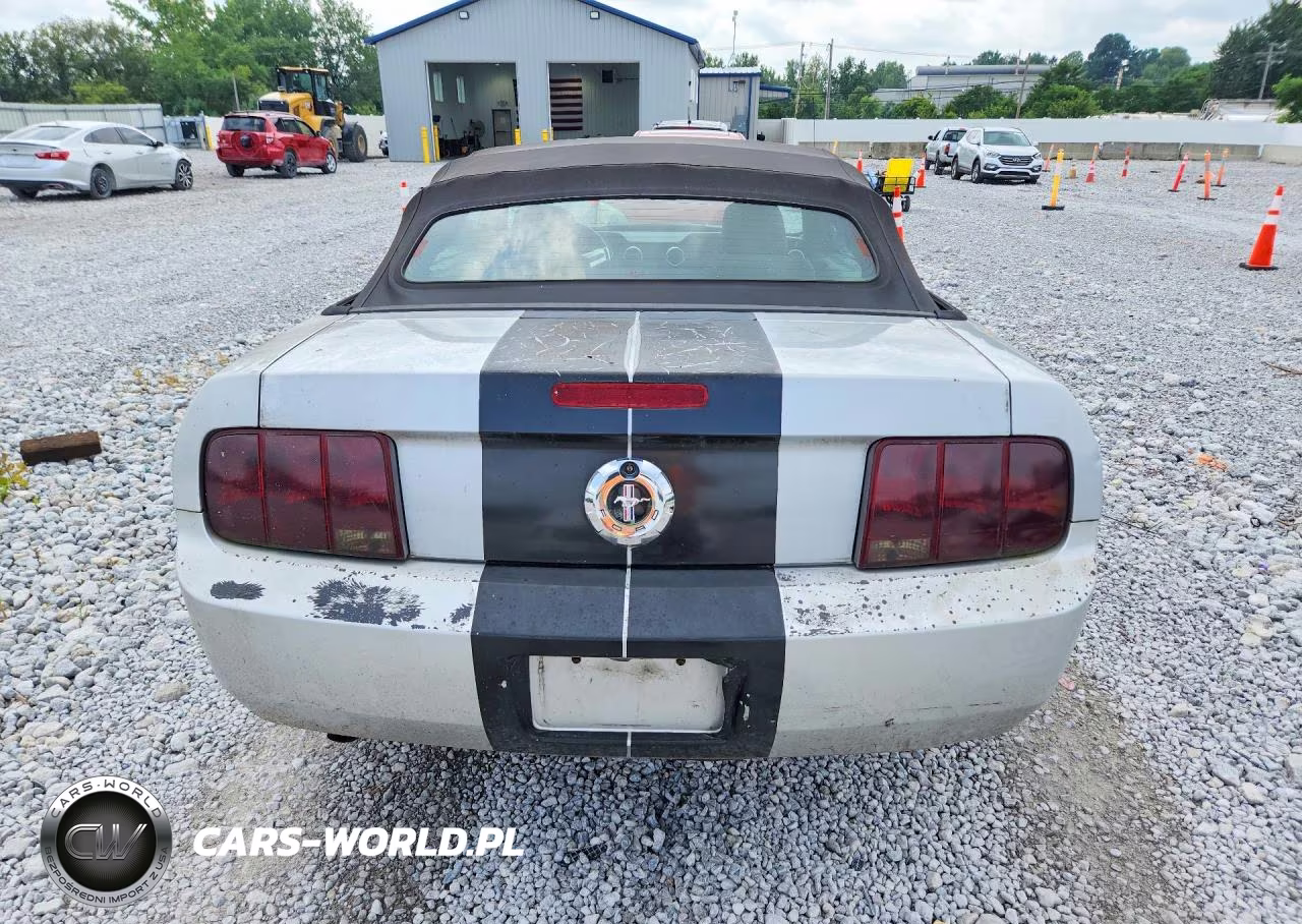 2005 Ford Mustang VIN:1ZVFT84N855191650 - 6
