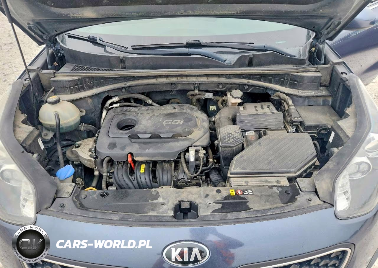 2019 Kia Sportage Lx VIN:KNDPM3AC2K7509482 - 12
