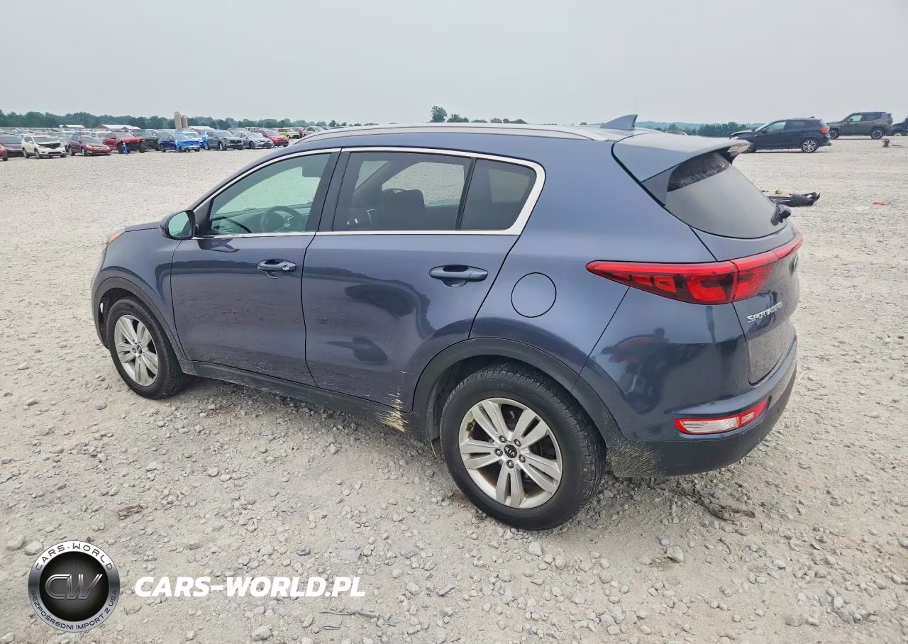 2019 Kia Sportage Lx VIN:KNDPM3AC2K7509482 - 2