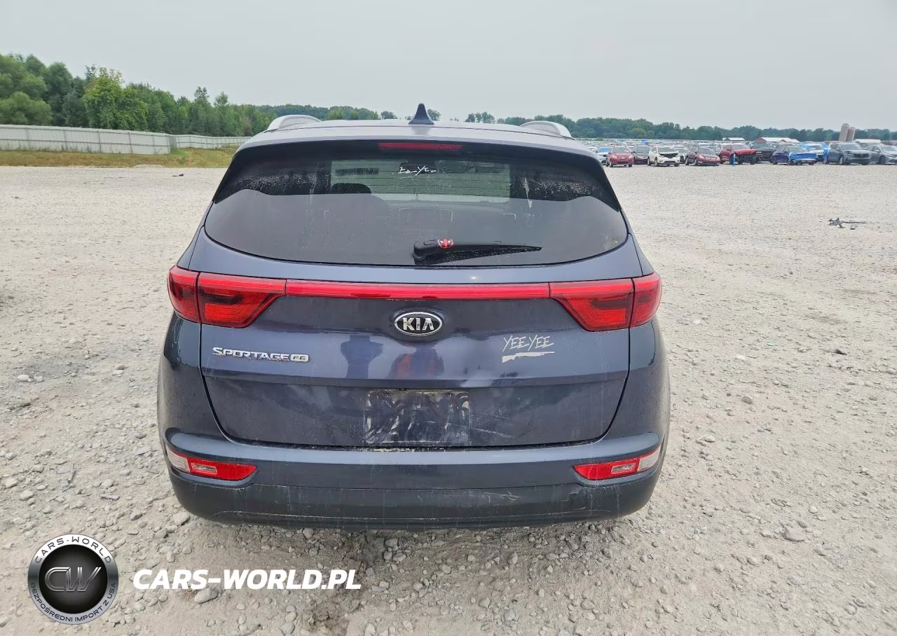 2019 Kia Sportage Lx VIN:KNDPM3AC2K7509482 - 6