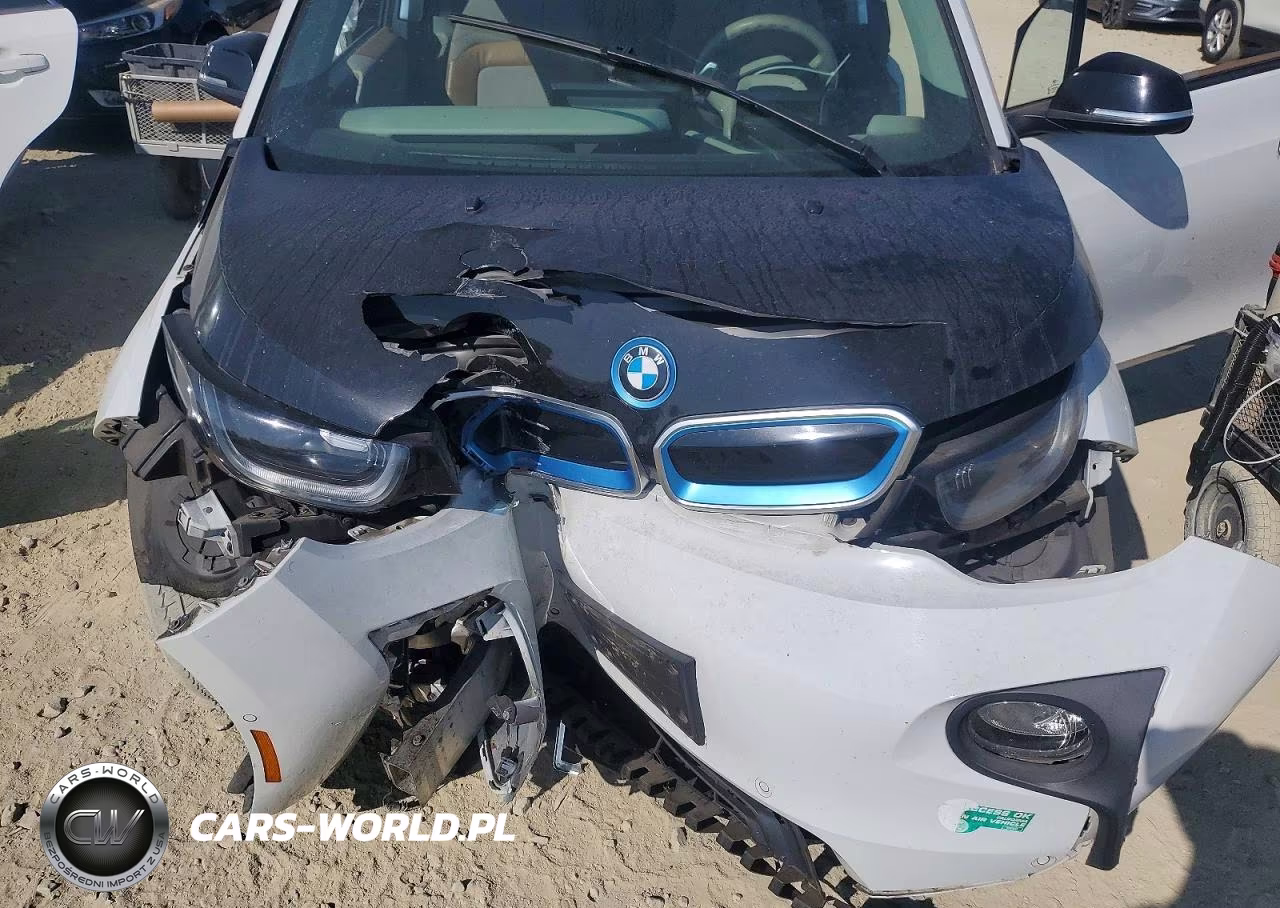 2015 BMW I3 Rex VIN:WBY1Z4C53FV502956 - 11