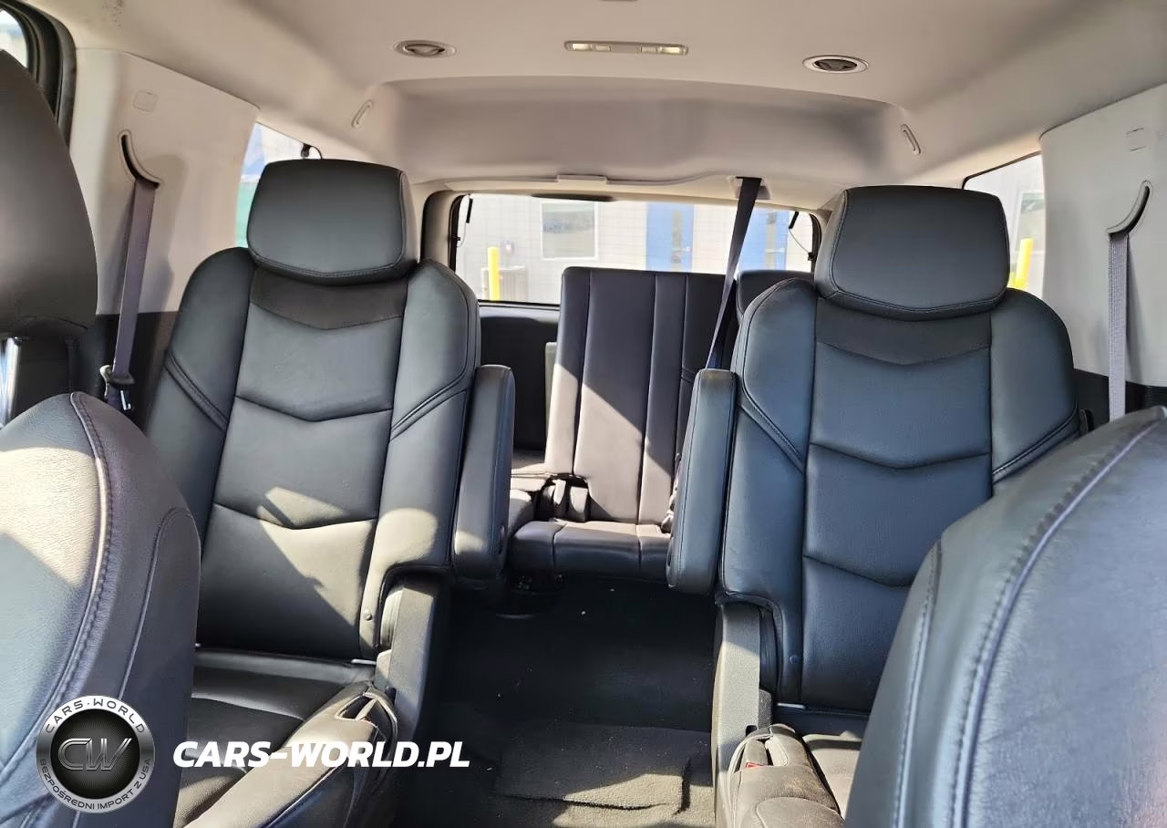 2016 Cadillac Escalade Premium VIN:1GYS4CKJ3GR314844 - 10