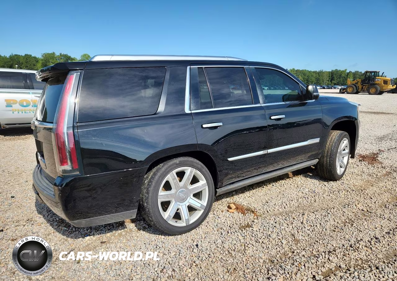 2016 Cadillac Escalade Premium VIN:1GYS4CKJ3GR314844 - 3