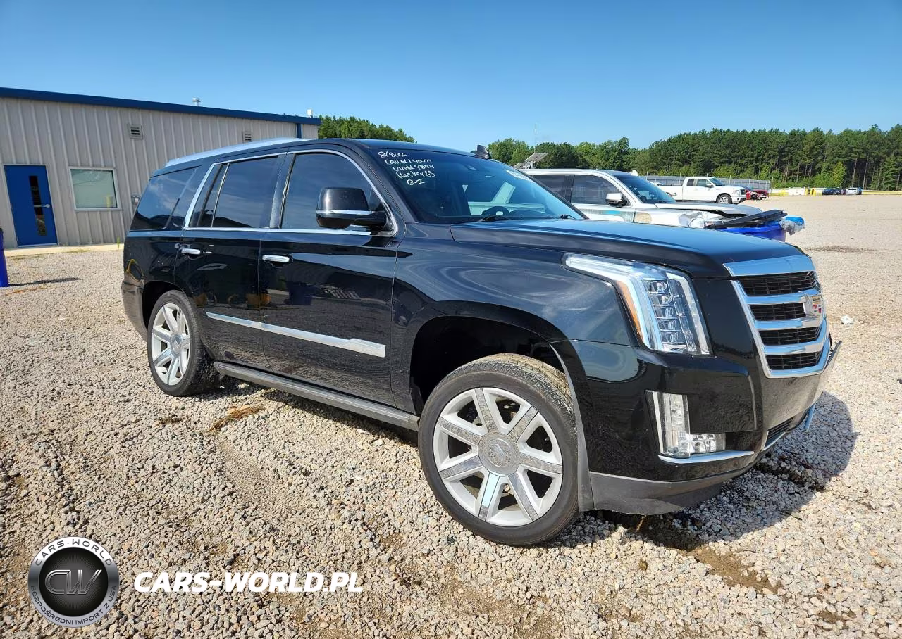 2016 Cadillac Escalade Premium VIN:1GYS4CKJ3GR314844 - 4
