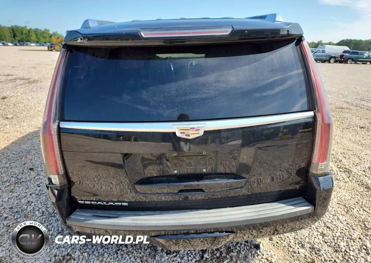 2016 Cadillac Escalade Premium VIN:1GYS4CKJ3GR314844 - 6